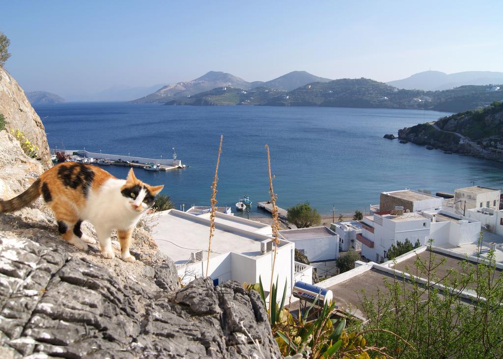 Asterias Aparthotel Panteli Bagian luar foto